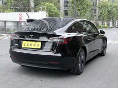 Tesla Model 3 2022 Rear-Wheel Drive - ფოტო 5