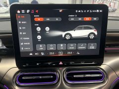 Smart Spirit #1 2024 Dynamic Luxury Edition - ფოტო 9