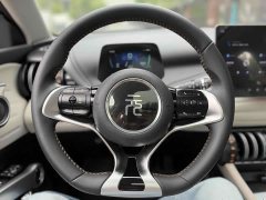 BYD Yuan Plus Glory Edition 430KM Transcend - ფოტო 8