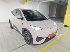 BYD Seagull 305km Freedom Edition - ფოტო 3
