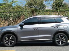 BYD Song Pro New Energy Champion Edition DM-i 71KM Exceed - ფოტო 4
