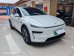 Tesla Model Y Rear-Wheel Drive - ფოტო 3
