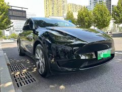 Tesla Model Y Rear-Wheel Drive - ფოტო 2