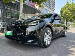 Tesla Model Y Rear-Wheel Drive - ფოტო 3