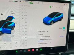 Tesla Model Y Rear-Wheel Drive - ფოტო 9
