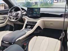 BYD Song Plus New Energy 2021 DM-i 51KM Premium Edition - ფოტო 9