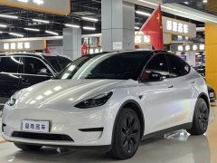 Tesla Model Y 2023 Rear-Wheel Drive - ფოტო 1