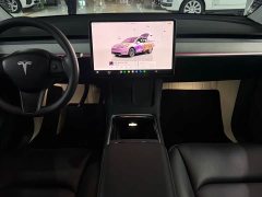 Tesla Model Y 2023 Rear-Wheel Drive - ფოტო 10