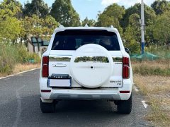 Tank 500 3.0T Sport Summit 7-Seater - ფოტო 4