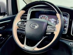 GAC Aion M8 2021 Master Series 390T Four-Seat Royal Edition - ფოტო 19