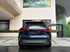Lexus RX 2025 300 AWD Premium Edition - ფოტო 4
