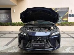 Lexus RX 2025 300 AWD Premium Edition - ფოტო 6