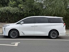 Buick GL8 Luzun Respect Edition - ფოტო 13