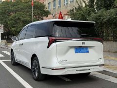 Buick GL8 Luzun Respect Edition - ფოტო 5