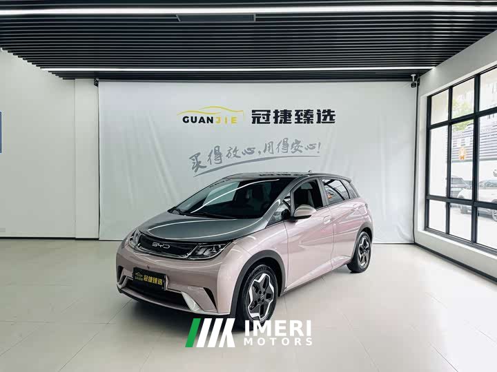 BYD Dolphin 405km Fashion Edition - ავტომობილი ჩინეთიდან