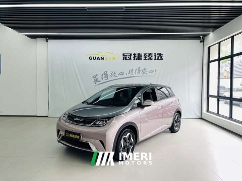 2022 BYD Dolphin 405km Fashion Edition - ავტომობილი ჩინეთიდან