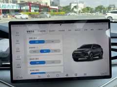 BYD Yuan Plus DM-i 2022 215km Range AWD Flagship - ფოტო 15
