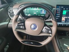 BYD Han DM-i 125KM Comfort - ფოტო 15