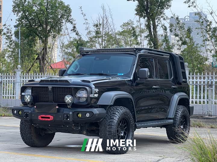 Tank 300 Off-Road Edition 2.0T Conqueror - ავტომობილი ჩინეთიდან