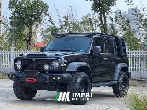 2023 Tank 300 Off-Road Edition 2.0T Conqueror - ავტომობილი ჩინეთიდან