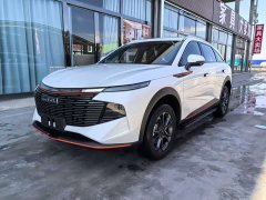 Haval Shenshou 1.5T Smart Leader Edition - ფოტო 1