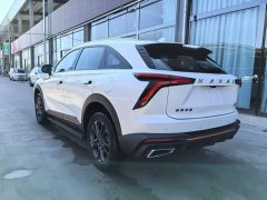 Haval Shenshou 1.5T Smart Leader Edition - ფოტო 4