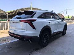 Haval Shenshou 1.5T Smart Leader Edition - ფოტო 6