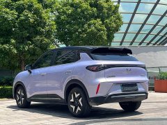 Wuling Binguo Bingo S 430km Flagship - ფოტო 12