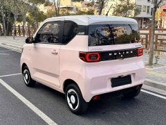 Wuling Hongguang MINIEV 2021 Macaron Sandwich Edition 120km LFP Battery - ფოტო 5