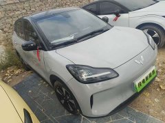 Wuling Binguo PLUS 510km 5-Seater - ფოტო 3
