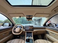 AITO M7 2024 1.5T Intelligent Driving RWD Max 5-Seater - ფოტო 13