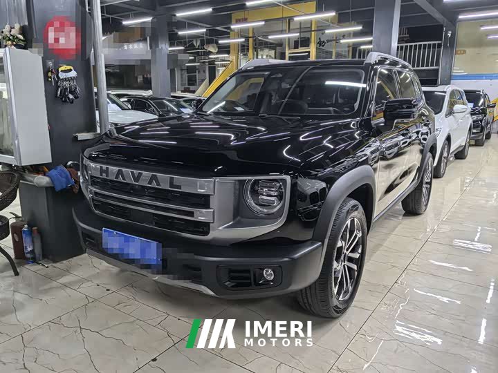 Great Wall Dachshund 2024 1.5T DCT Border Collie Edition - ავტომობილი ჩინეთიდან