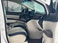 Buick GL8 Land Official Business Class 652T Comfort Edition - ფოტო 5