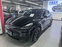 Tesla Model Y 2024 Rear-Wheel Drive - ფოტო 1