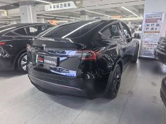 Tesla Model Y 2024 Rear-Wheel Drive - ფოტო 10