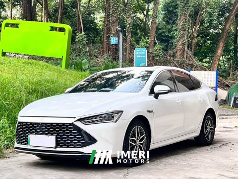 2023 BYD Qin PLUS Champion Edition DM-i 55KM Exceed - ავტომობილი ჩინეთიდან