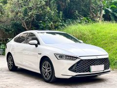 BYD Qin PLUS Champion Edition DM-i 55KM Exceed - ფოტო 3