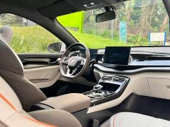BYD Qin PLUS Champion Edition DM-i 55KM Exceed - ფოტო 6