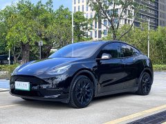 Tesla Model Y Long Range All-Wheel Drive - ფოტო 1