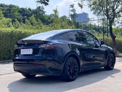 Tesla Model Y Long Range All-Wheel Drive - ფოტო 11
