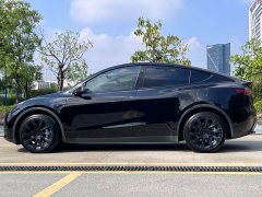 Tesla Model Y Long Range All-Wheel Drive - ფოტო 15