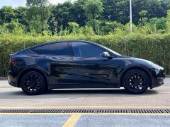 Tesla Model Y Long Range All-Wheel Drive - ფოტო 16