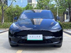 Tesla Model Y Long Range All-Wheel Drive - ფოტო 2