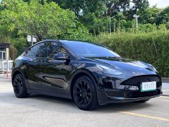 Tesla Model Y Long Range All-Wheel Drive - ფოტო 3