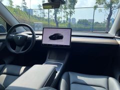 Tesla Model Y Long Range All-Wheel Drive - ფოტო 6
