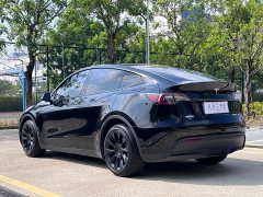 Tesla Model Y Long Range All-Wheel Drive - ფოტო 9