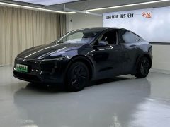 Tesla Model Y Rear-Wheel Drive - ფოტო 1