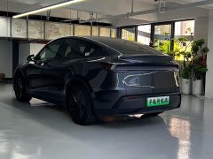 Tesla Model Y Rear-Wheel Drive - ფოტო 10