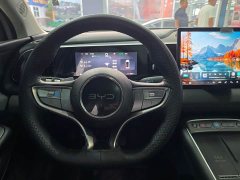 BYD Haima Lion Haima Seagull 05 EV 520KM Smart Navigation Edition - photo 12