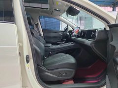 BYD Haima Lion Haima Seagull 05 EV 520KM Smart Navigation Edition - photo 14
